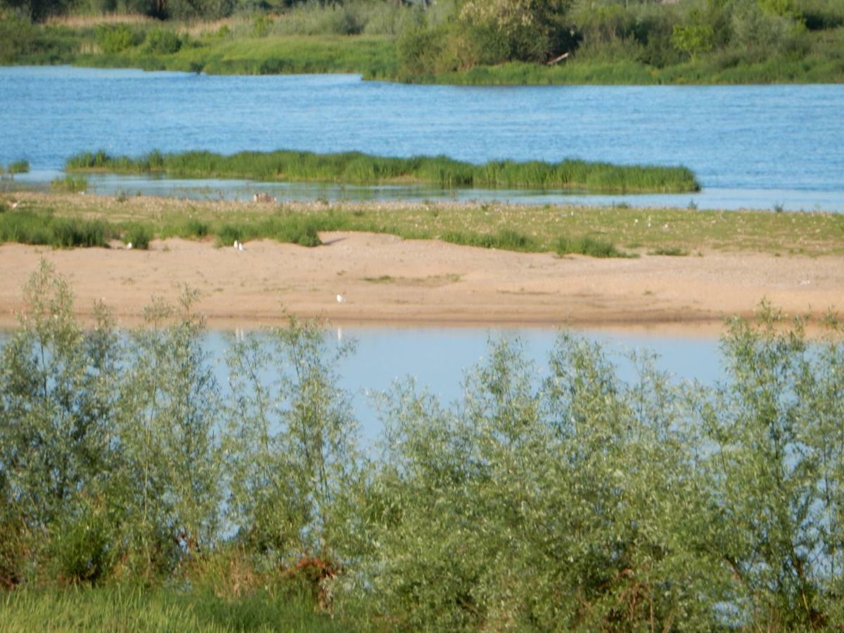 Holiday home Entre Loire Et Cher 